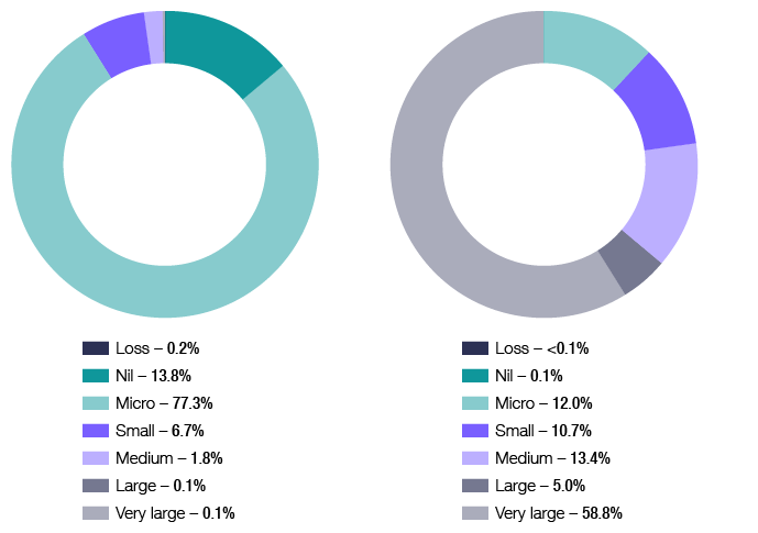 Chart 13 shows the distribution of companies and net tax, by company size, for the 2014-15 income year. The link below will take you to the data behind this chart as well as similar data back to the 2009-10 income year.