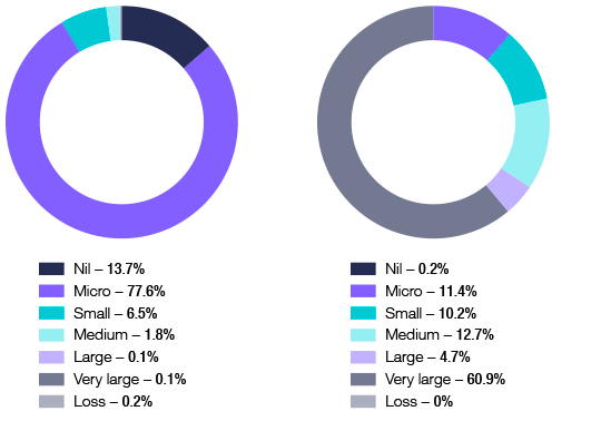 Figure 5. Number of companies and net tax, by size, 2012-13 income year. Two graphs. The first shows the proportion of companies by size. The second shows the proportion of net tax of companies by size.