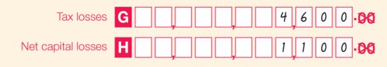 Part B item 2
Labe G Tax losses: $4,600
Label H Net capital losses: $1,100