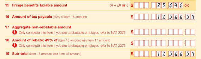 Items 15 to 19 of FBT return