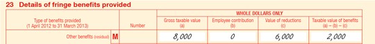 Example of employer entry at item 23