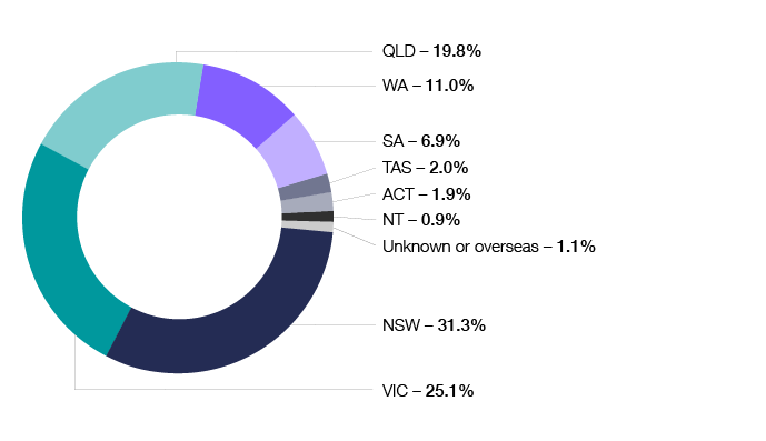 Chart 6 shows individual returns lodged by state or territory for the 2015–16 income year. NSW 31.3%, VIC 25.1%, QLD 19.8%, WA 11%, SA 6.9%, TAS 2%, ACT 1.9%, NT 0.9%, Unknown or overseas 1.1%. The link below will take you to the data behind this chart as well as similar data back to the 2009–10 income year.