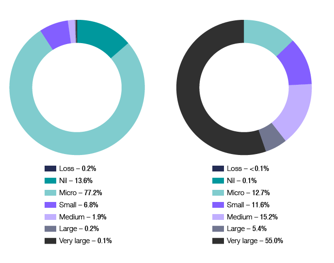 Chart 13 shows the distribution of companies and net tax, by company size, for the 2015–16 income year. The link below will take you to the data behind this chart as well as similar data back to the 2009–10 income year.