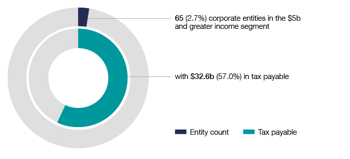In 2019–20, the largest corporate entities in the $5 billion and greater income segment represent only 2.7% of the population, but reported the majority of income tax payable with $32.6 billion, or 57.0% of the total.