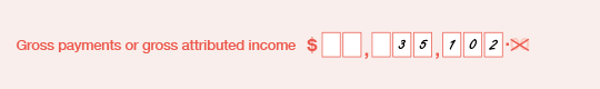 Example of the completed 'Gross payments or gross attributed income' field on the form.