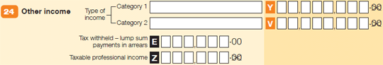 Question 24 image from the Tax return for individuals (supplementary section) form.