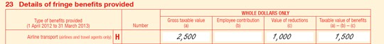 Example of travel agent entry at item 23
