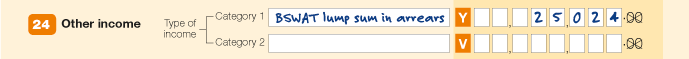 Item 24 has been completed by writing 'BSWAT lump sum in arrears' in the Category 1 text field and writing 25024 in Category 1 number fields.