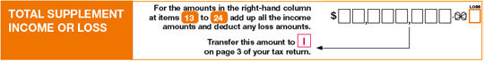 Total supplement income or loss image from tax return for individuals (supplementary section) form.