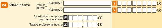 Question 24 image from tax return for individuals (supplementary section) form.