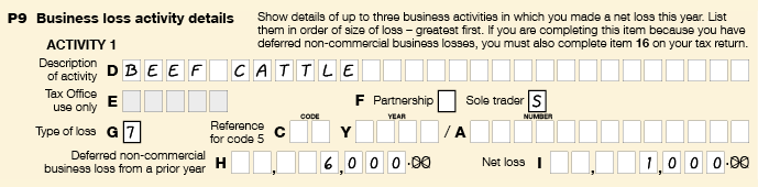 Item P9 filled in with 'Beef cattle' at D (description of activity), 7 entered into G (type of loss), $6,000 entered into H (deferred non-commerical business loss from a prior year) and $1000 entered into I (net loss).