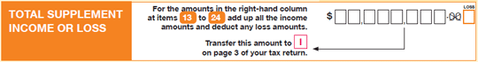 Total supplement income or loss image from tax return for individuals (supplementary section) form.