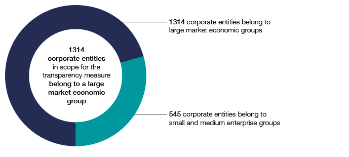 This chart provides an overview of the number of corporate transparency entities broken down by market size.