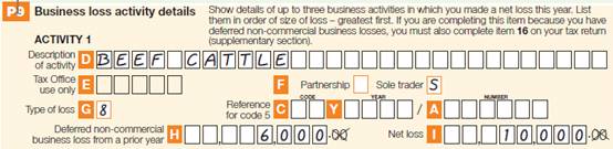 Item P9, Activity 1 from Kieren's completed schedule, showing Description of activity (D): Beef cattle; Business type (F) S; Type of loss (G) 8; Deferred non-commercial loss from a business year (H) 6,000 and Net loss (I) 10,000.