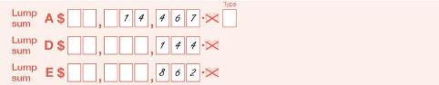 Example of the completed 'Lump sum payments' fields of the form, with one letter per box.