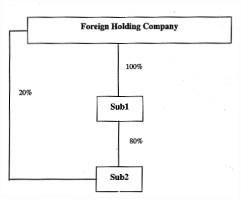 Foreign holding company - wholly owned subsidiaries - example 2