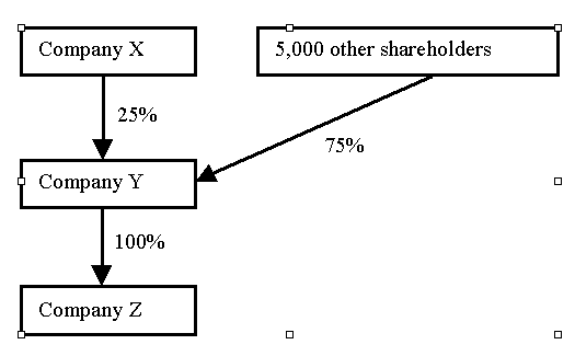 Example 1.1:  Flowchart showing that X has 25% of Y and 5000 other shareholder have 75% or Y. Y has 100% of Z.