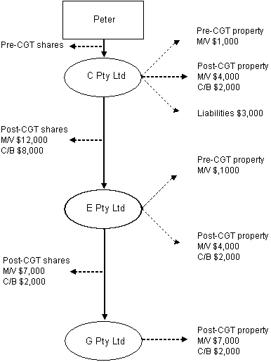 Example 5 flowchart of Peters CGT position
