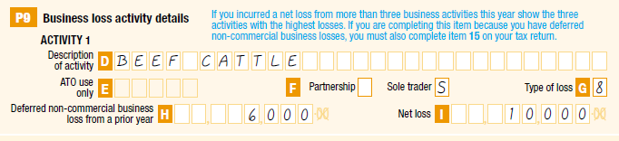 Label F Partnership/Sole trader: S Label G Type of loss: 8 Label H Deferred non-commercial business loss from a prior year: $6,000 Label I Net loss: $10,000 Label F Partnership/Sole trader: S Label G Type of loss: 8 Label H Deferred non-commercial business loss from a prior year: $6,000 Label I Net loss: $10,000