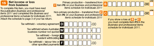 Question 15 image from tax return for individuals (supplementary section) form.