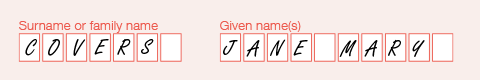 Example of the completed 'Name' field on the form.